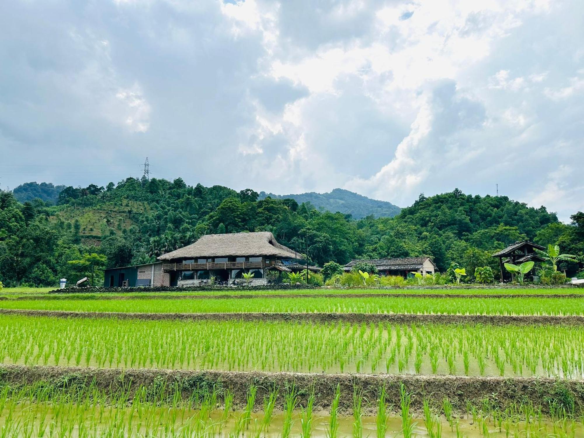 Ban Bang Ecolodge Tours & Motorbike Rental Ha Giang Exterior foto